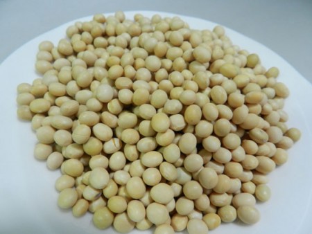優質黃豆(也可用於發芽)