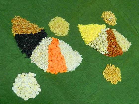 五穀米含12種穀物