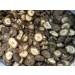特級埔里香菇(冬天生產的香菇)(一期)(小中)-150g